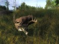 /album/the-hunter/a2012-11-24-1819-redfeather-falls-whitetail-deer-120-710-jpg/